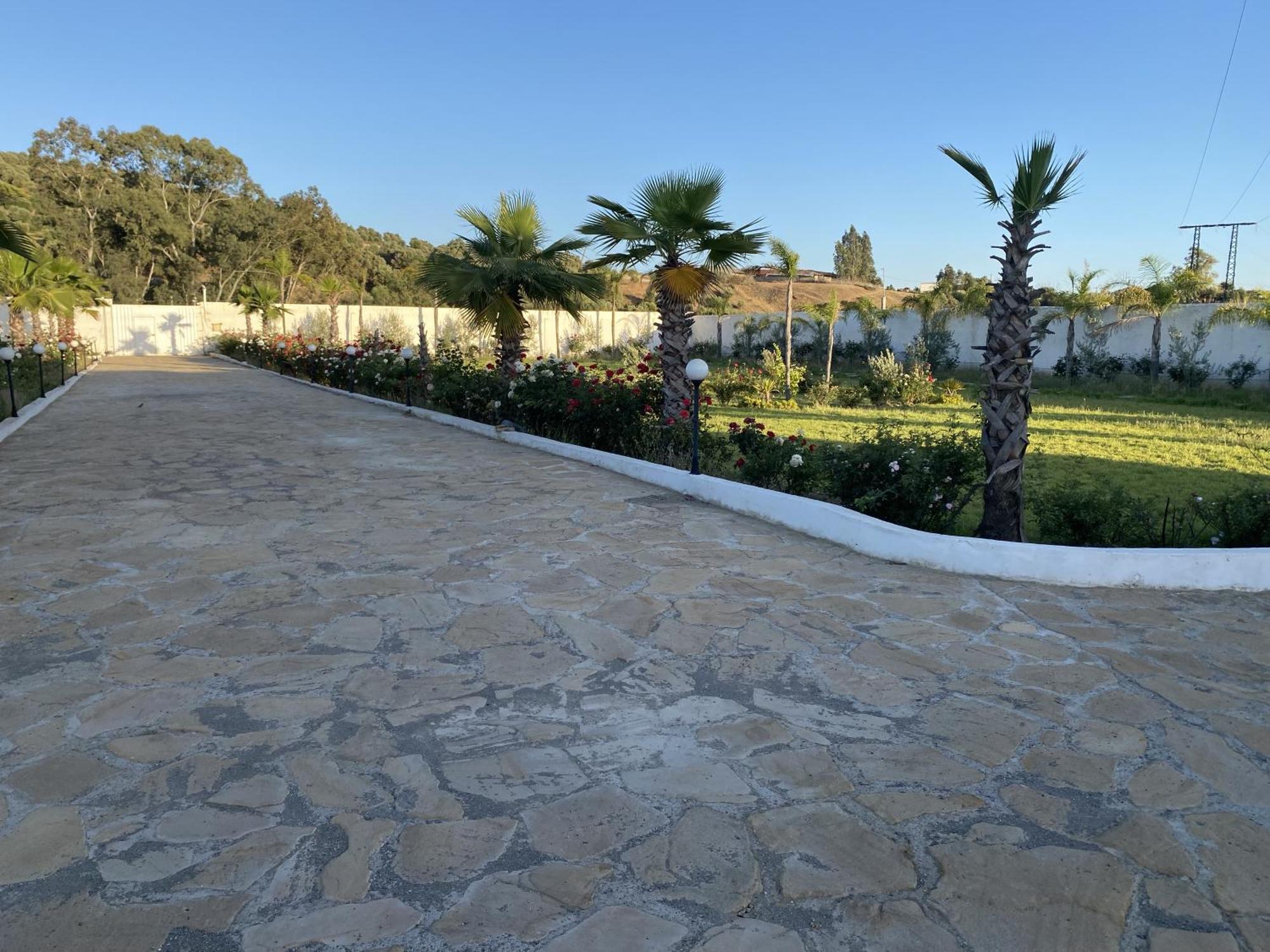 Ecohame - Oeko-Hain - Ecohaven - Ecobrio Guitar Palace Bni Quolla Exterior foto